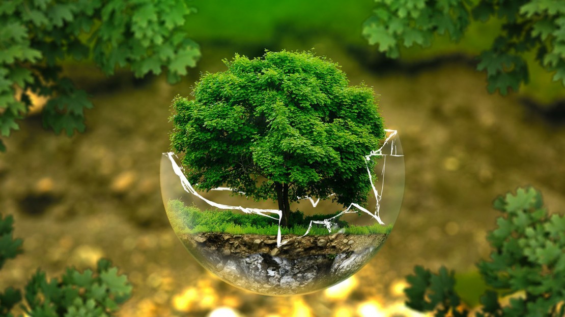 Green Banking