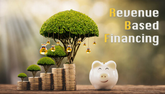 Revenue based Financing