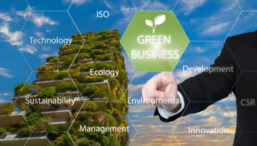 Green Business Rendicontazione Sostenibilita