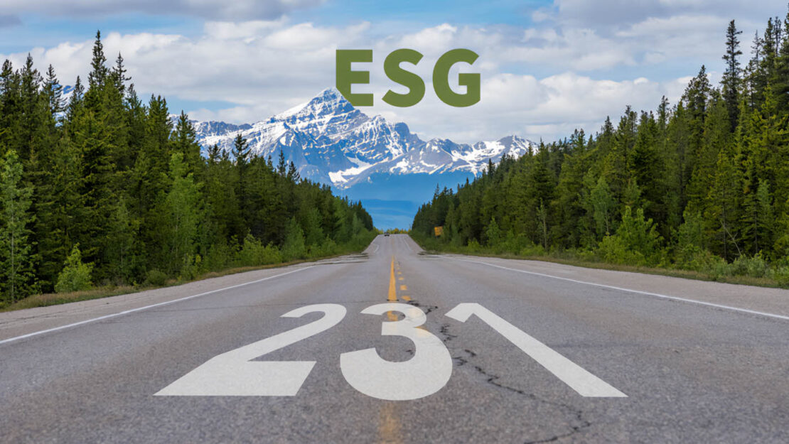La Sinergia tra ESG e modello 231