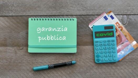 I finanziamenti assistiti da Garanzia c.d. COVID inquadramento e spunti problematici