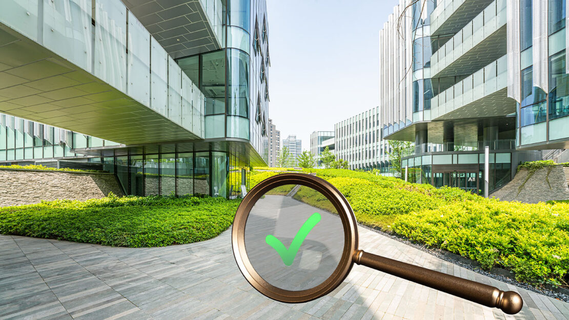 Nuovi Standard B Corp: Requisiti, Sotto-Requisiti e Criteri per la Certificazione Sostenibile