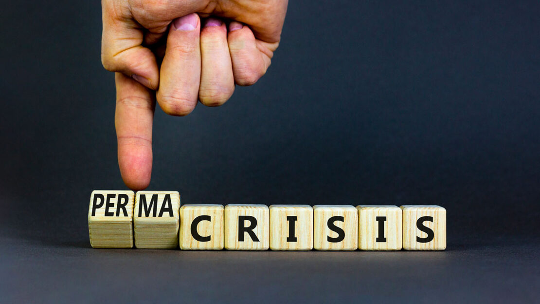 Permacrisi, Resilienza e Governo e Controllo dei Rischi. Apprendere dal passato per fronteggiare le sfide future 