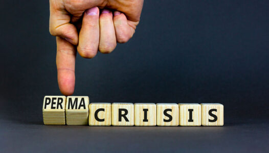 Permacrisi, Resilienza e Governo e Controllo dei Rischi. Apprendere dal passato per fronteggiare le sfide future