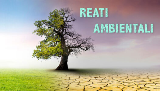 Dalla repressione alla prevenzione: la legge “Terra dei Fuochi” come volano per la green compliance?